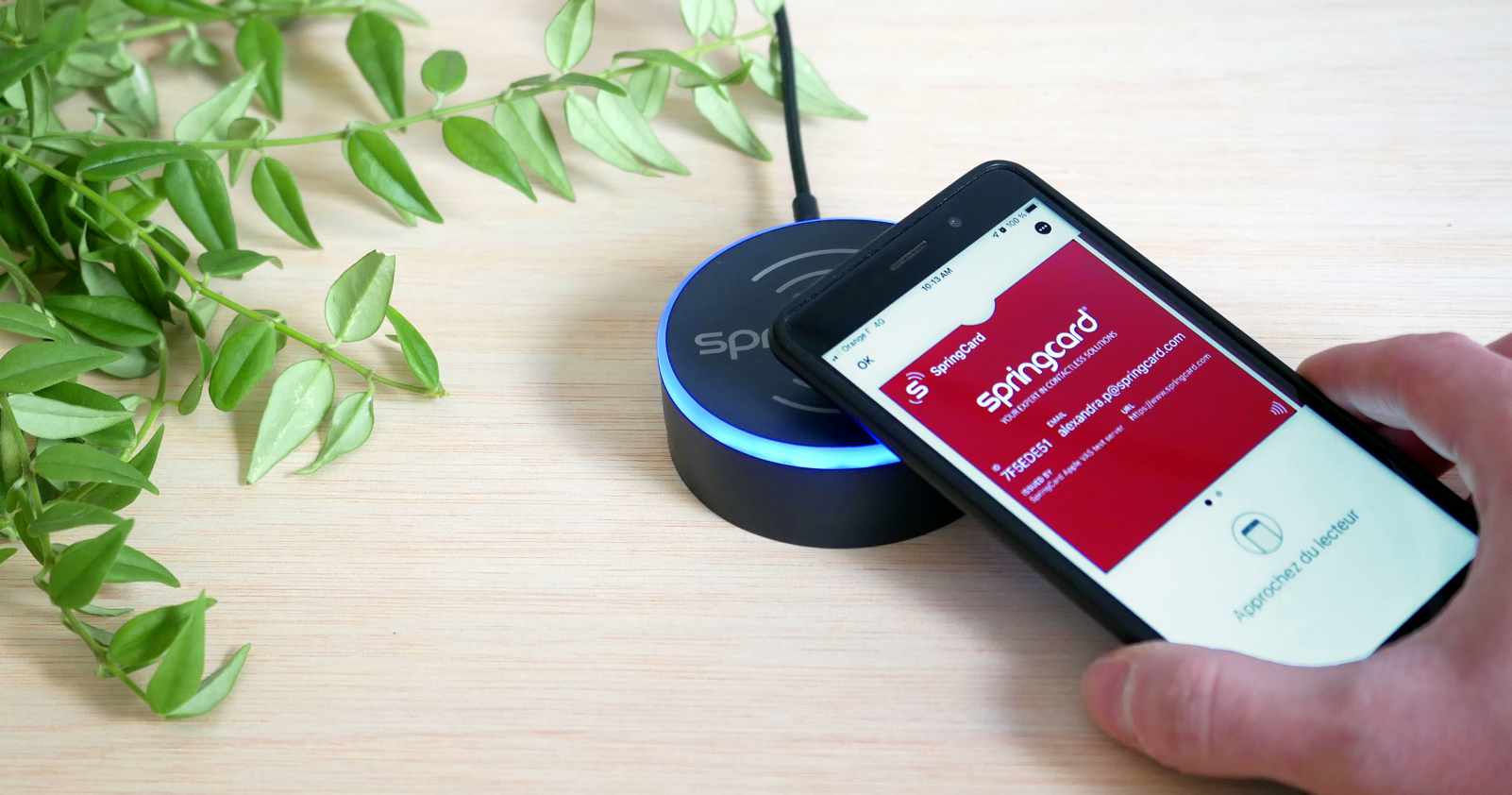 Apple & Google Wallet NFC passes